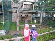 Výlet do ZOO Chleby a Labyrintária Loučeň